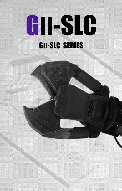 gⅱ-slc